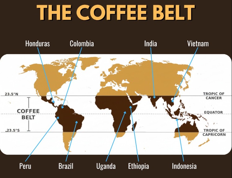 Peta Dunia Sabuk Kopi